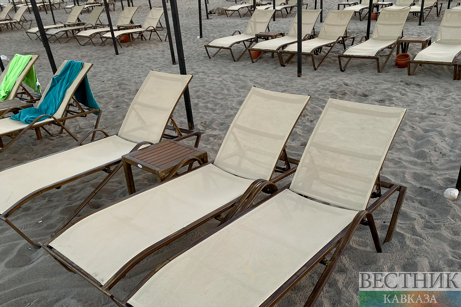 Фото: vestikavkaza.ru