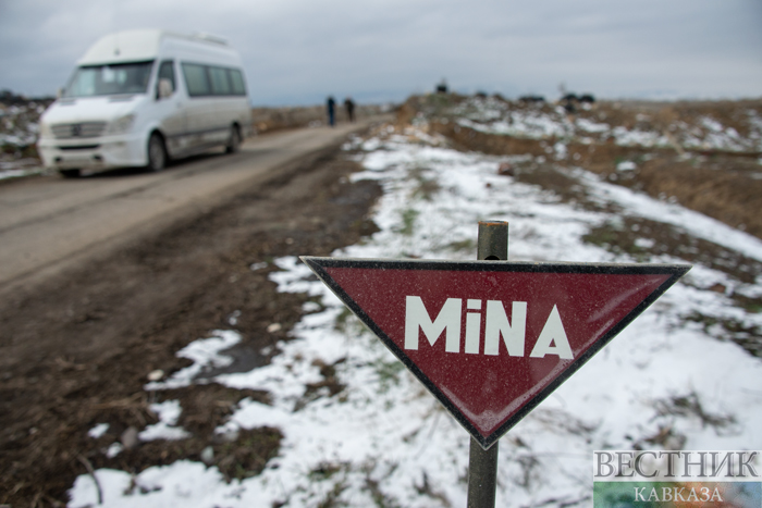 ����: vestikavkaza.ru