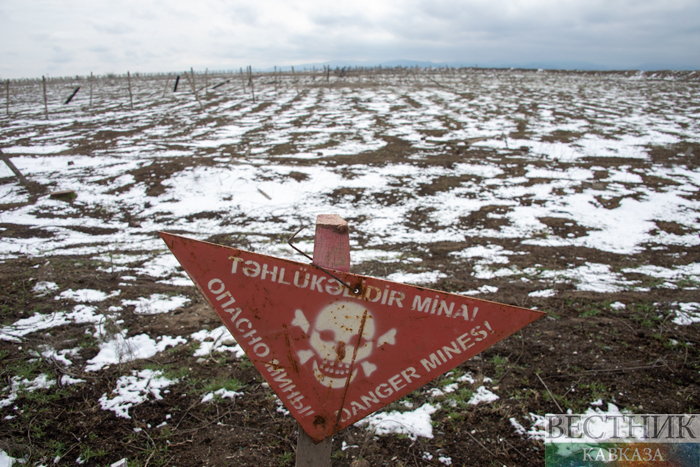 ����: vestikavkaza.ru