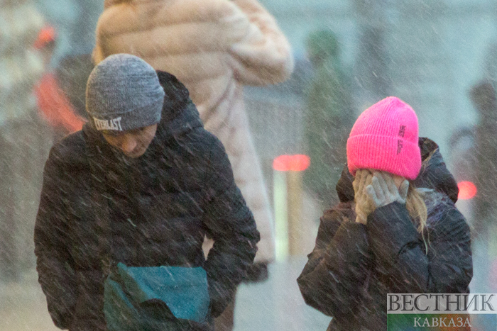 ����: vestikavkaza.ru