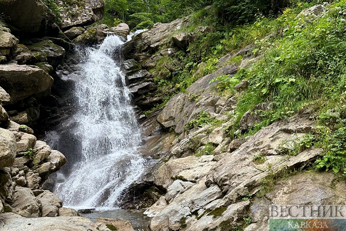 ����: vestikavkaza.ru
