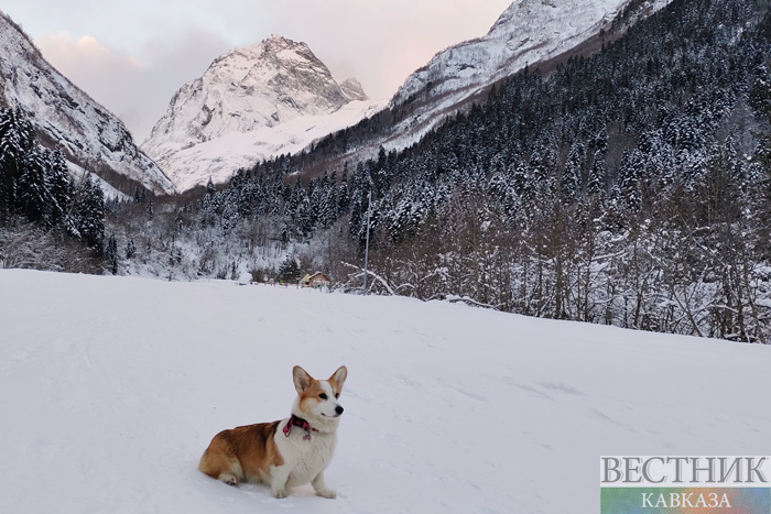 ����: vestikavkaza.ru