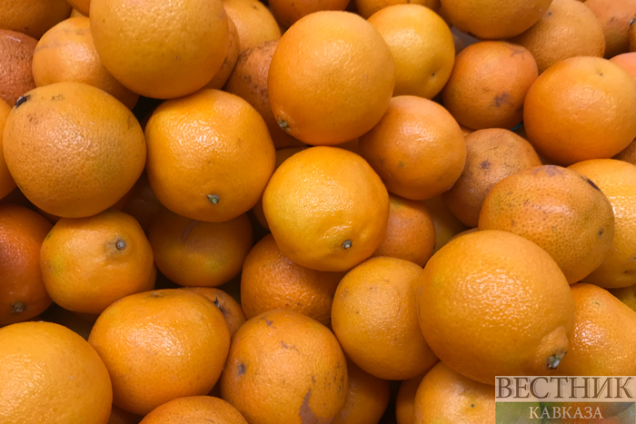 ����: vestikavkaza.ru