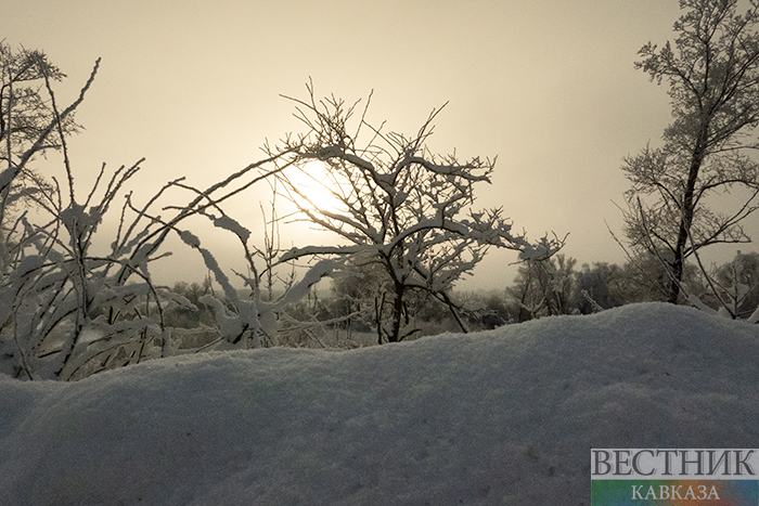 ����: vestikavkaza.ru
