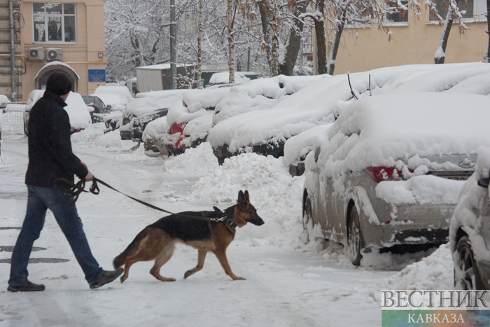 ����: vestikavkaza.ru