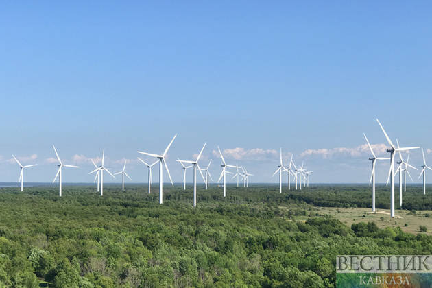 ����: vestikavkaza.ru