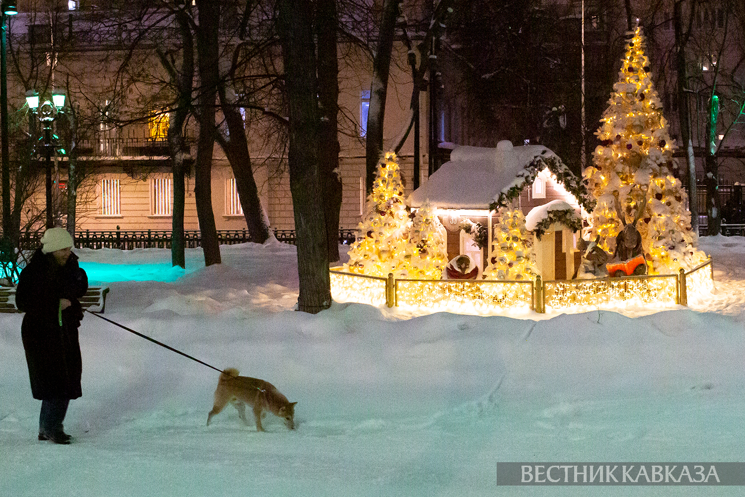 ����: vestikavkaza.ru