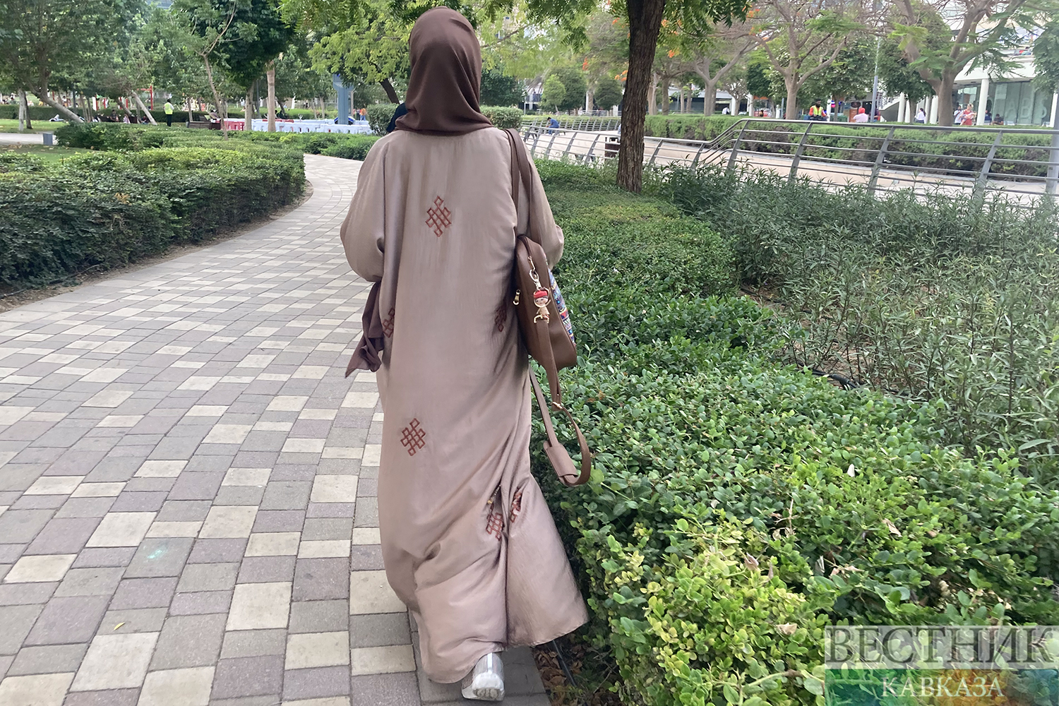 ����: vestikavkaza.ru