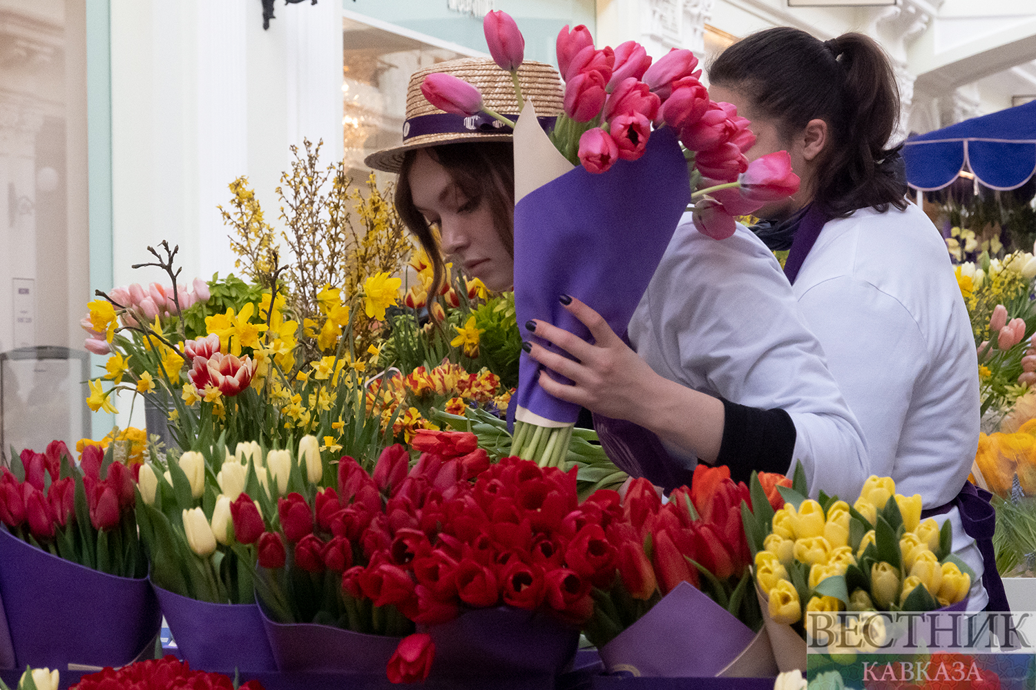 ����: vestikavkaza.ru