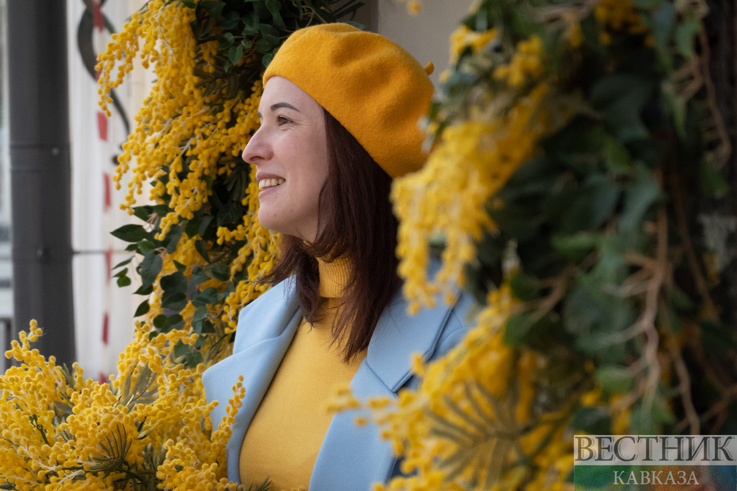 ����: vestikavkaza.ru