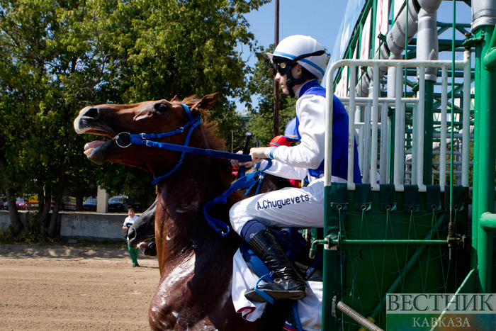 ����: vestikavkaza.ru