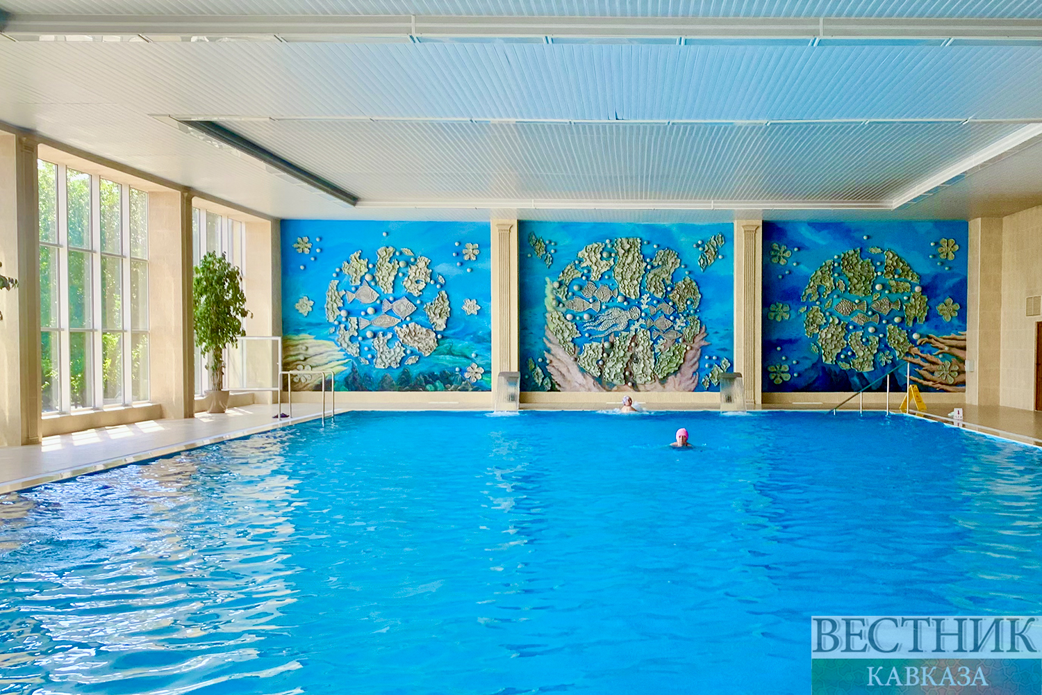 ����: vestikavkaza.ru