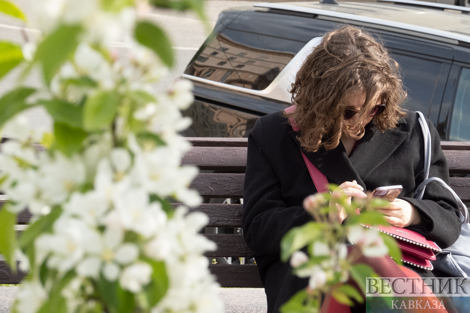 ����: vestikavkaza.ru