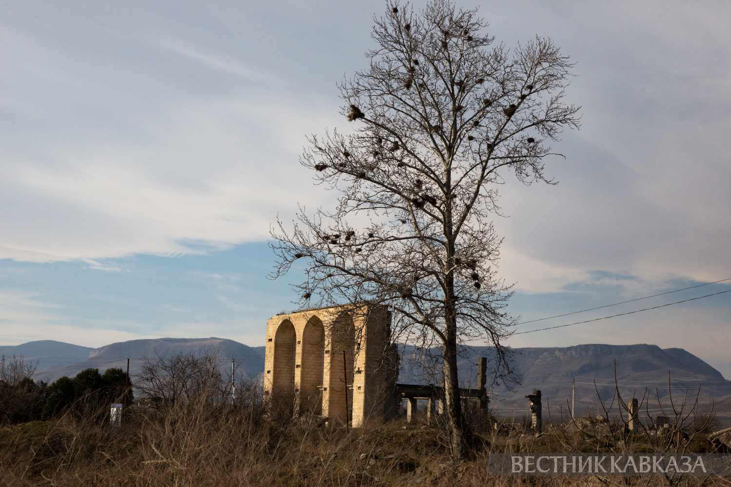 Фото: vestikavkaza.ru