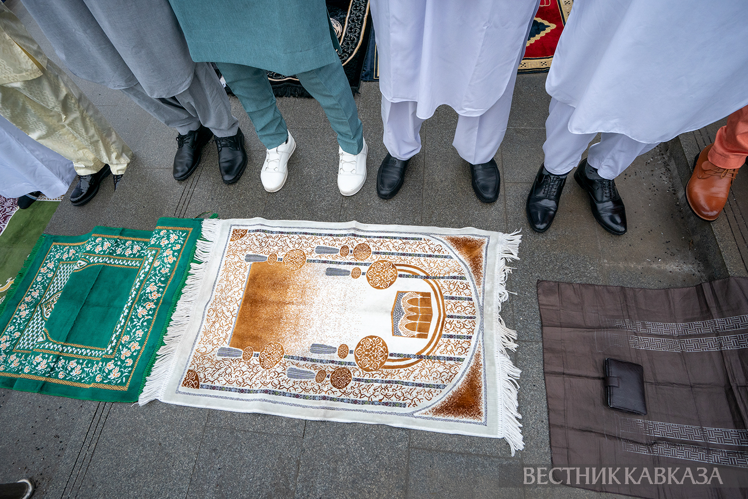 Фото: vestikavkaza.ru