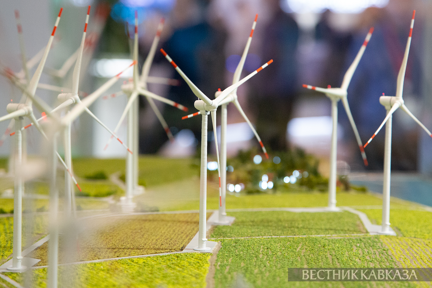 ����: vestikavkaza.ru