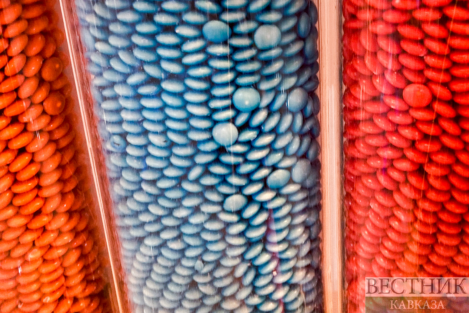 ����: vestikavkaza.ru