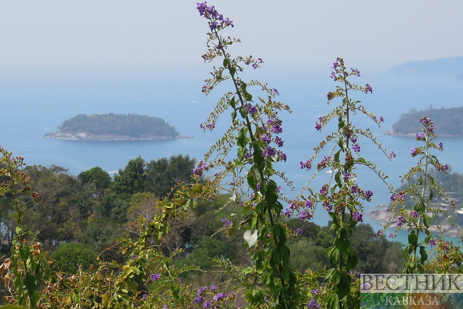 ����: vestikavkaza.ru