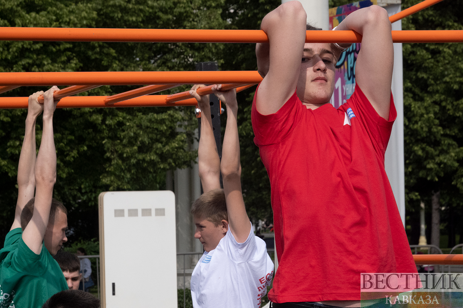 ����: vestikavkaza.ru