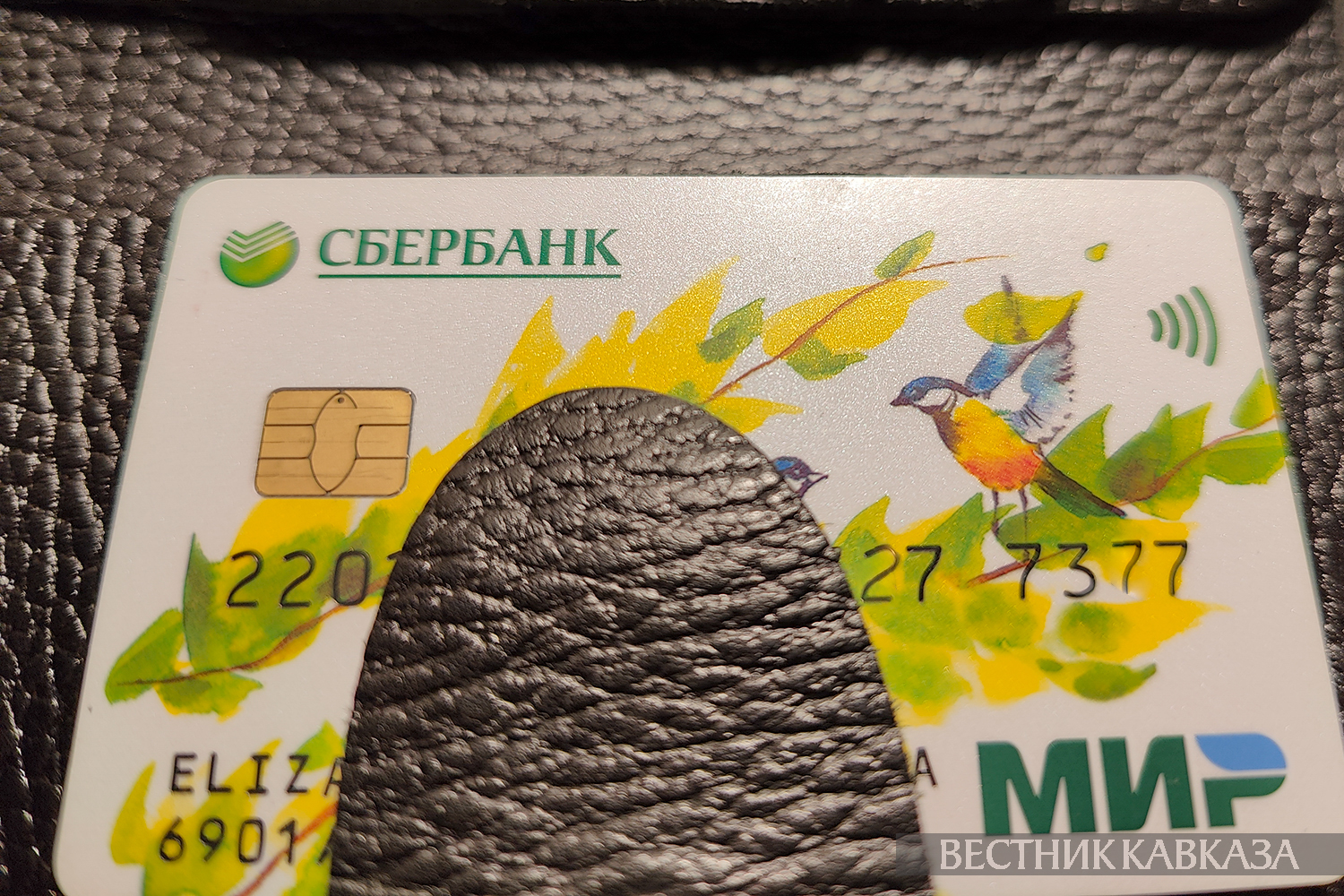 ����: vestikavkaza.ru