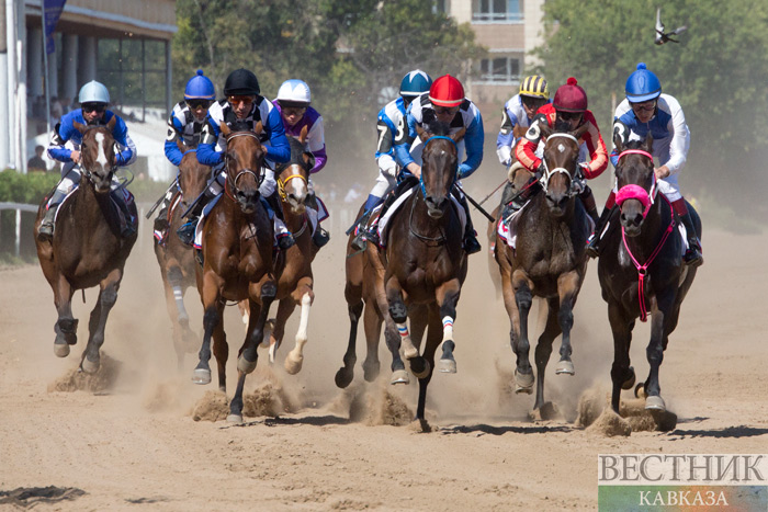 ����: vestikavkaza.ru