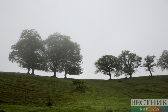 ����: vestikavkaza.ru