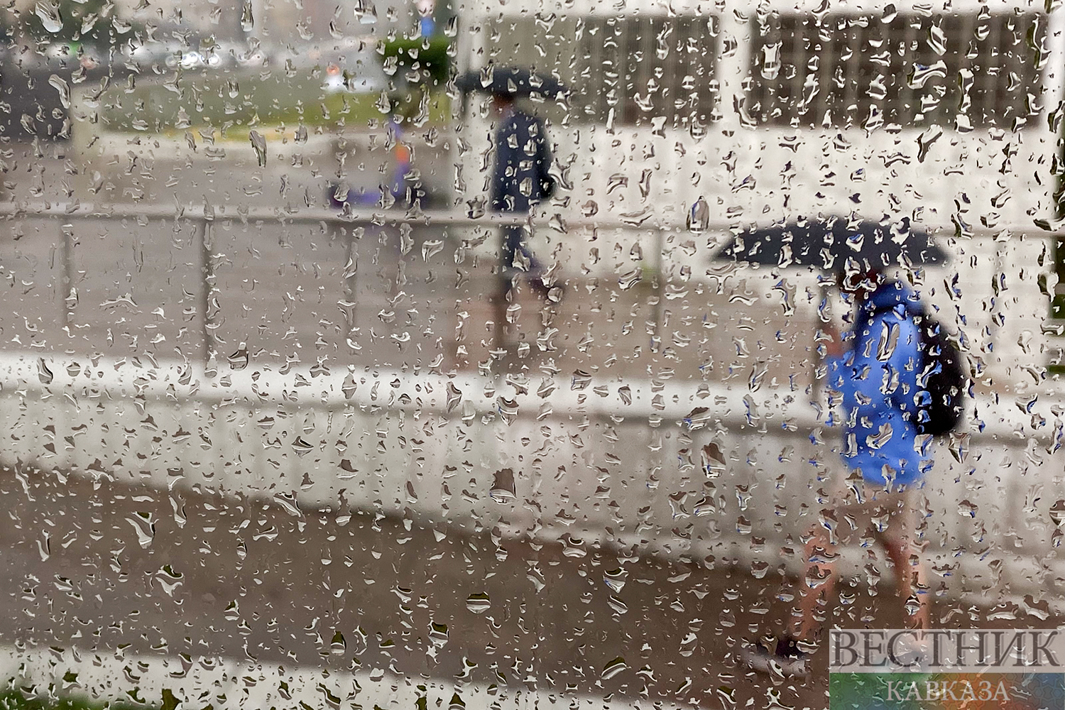 ����: vestikavkaza.ru