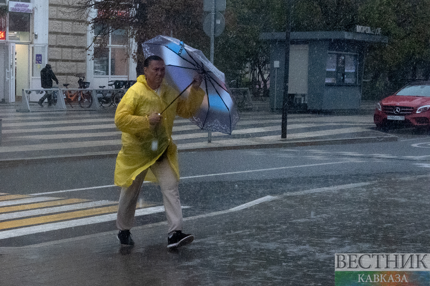 ����: vestikavkaza.ru