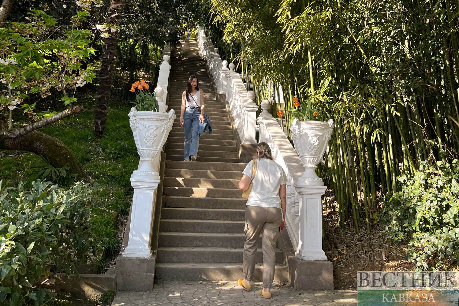 ����: vestikavkaza.ru