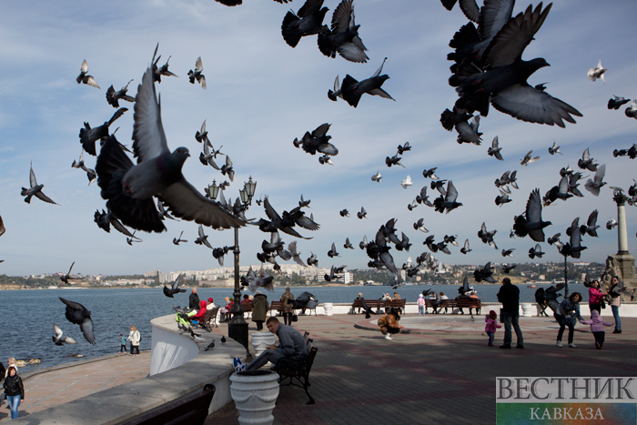 Фото: vestikavkaza.ru