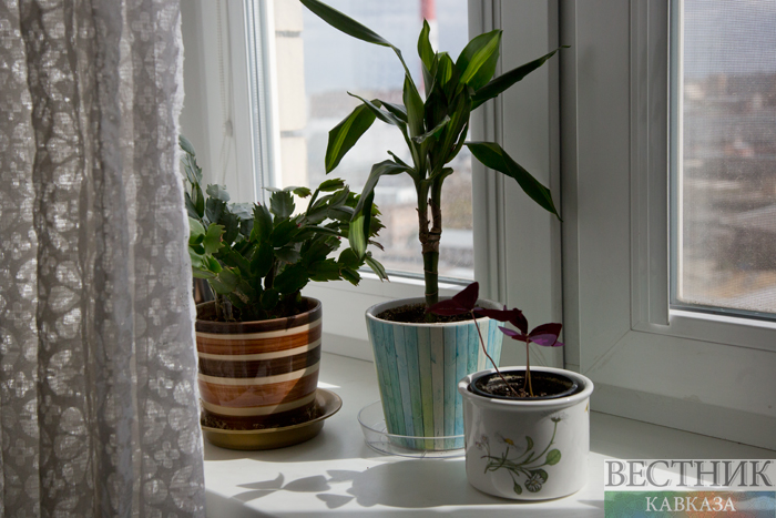 ����: vestikavkaza.ru