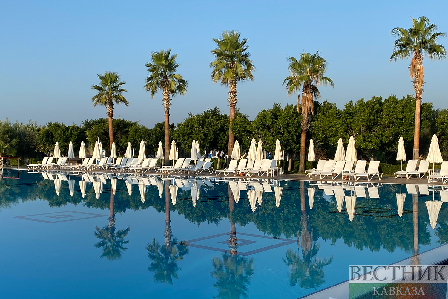 ����: vestikavkaza.ru