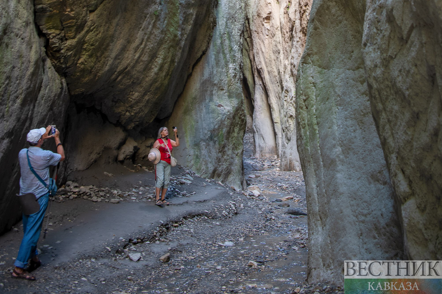 ����: vestikavkaza.ru