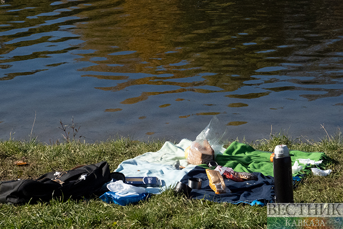 ����: vestikavkaza.ru
