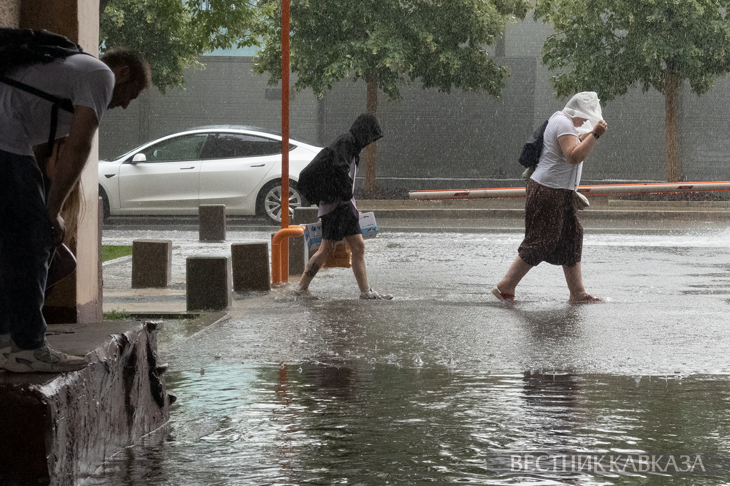  ����� ����� ����������� �������� ������� 