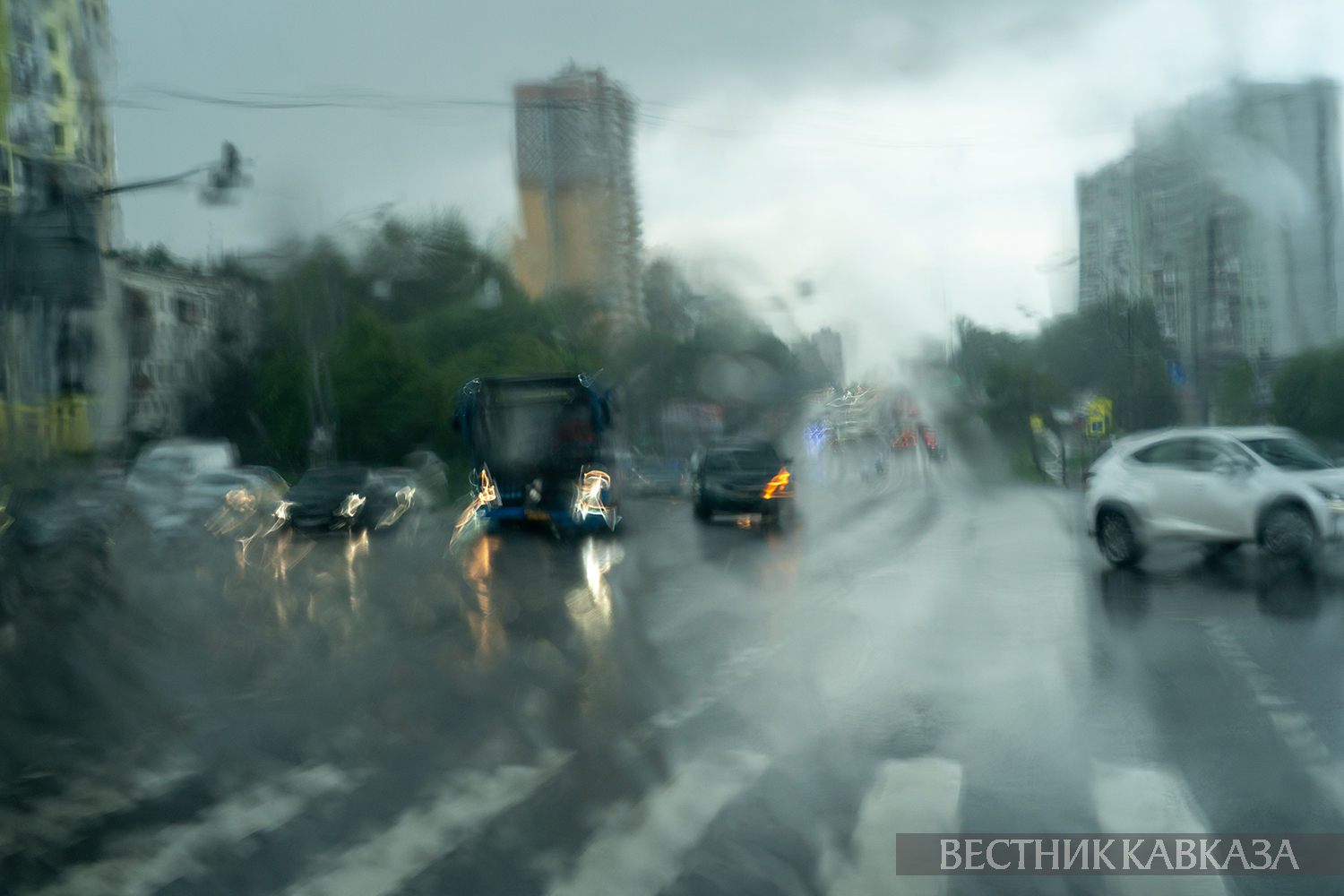 ����: vestikavkaza.ru