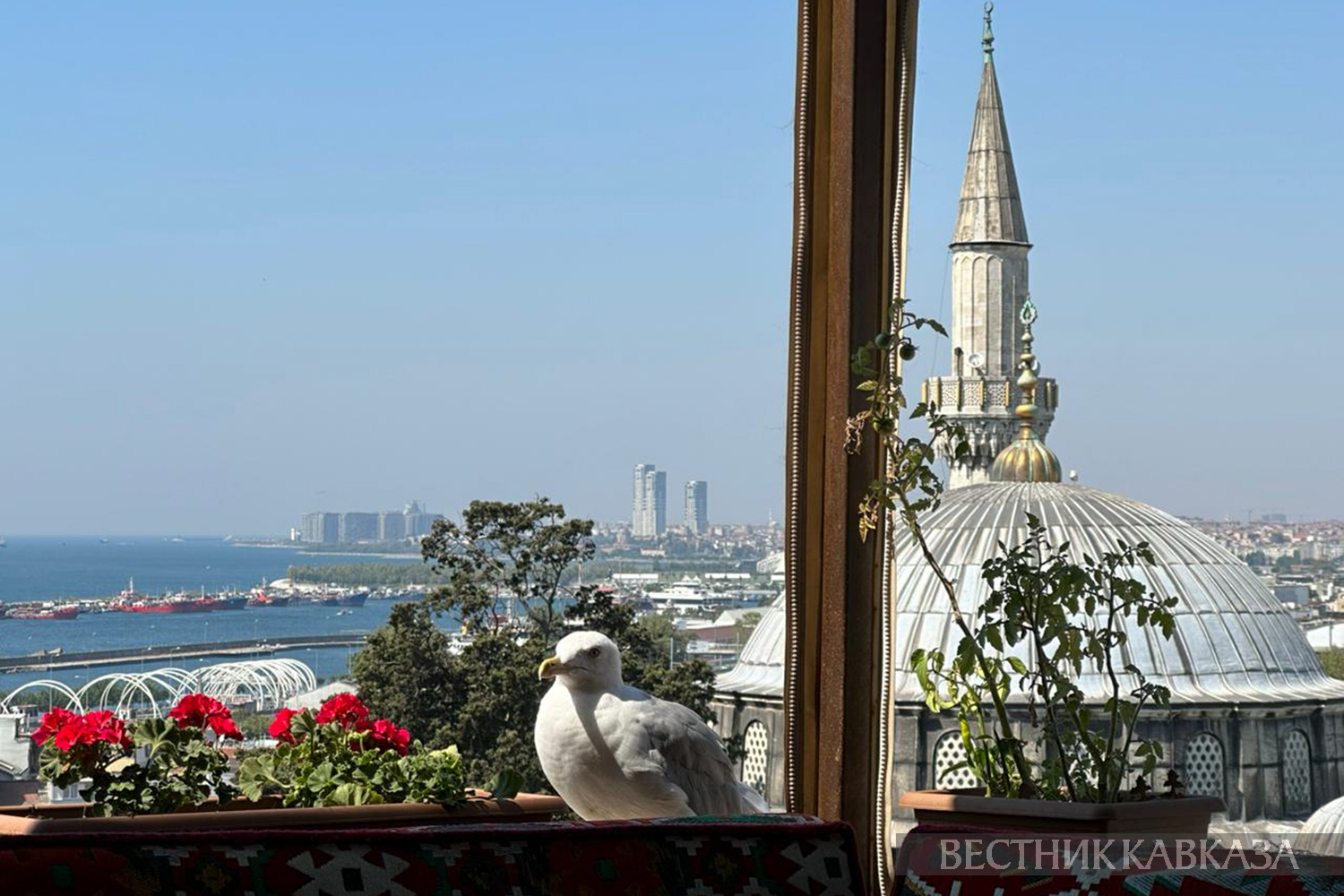 ����: vestikavkaza.ru