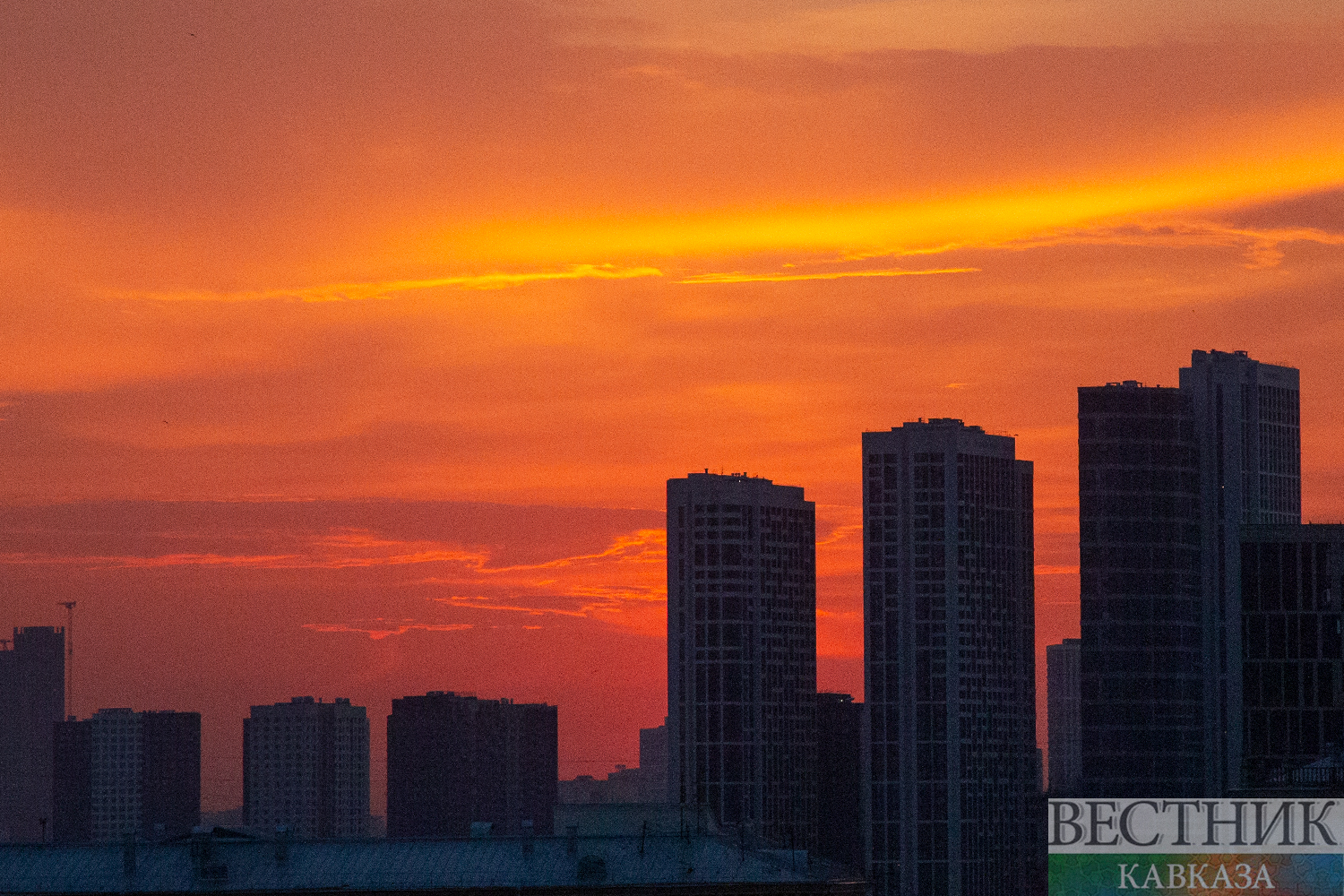  ���������� ���� ������ ������ ��������� ���������� 