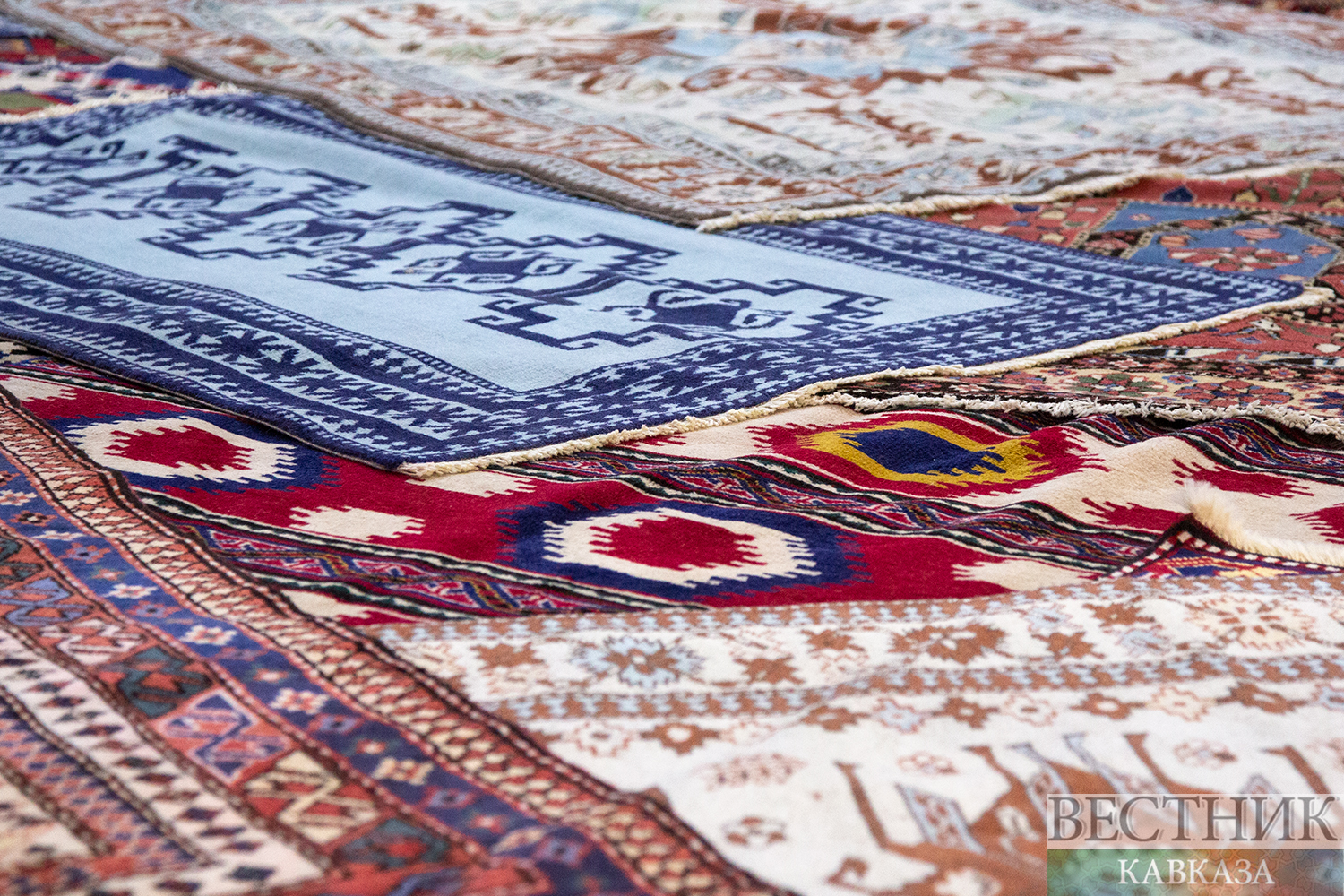 ����: vestikavkaza.ru