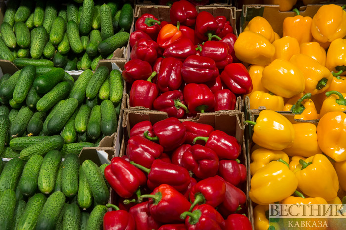 ����: vestikavkaza.ru