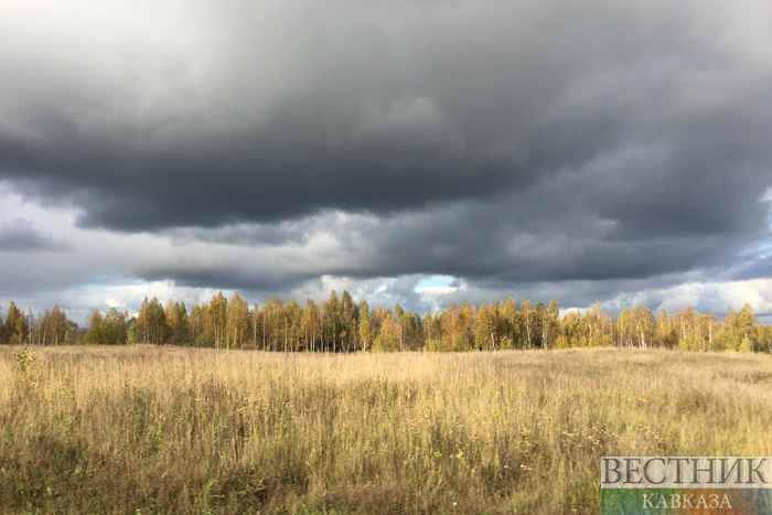  ������������� ������ ������ �������� ����������� 2025 