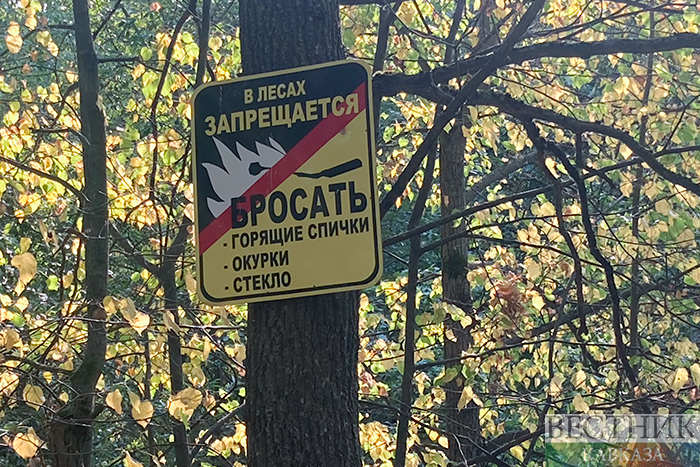 ����: vestikavkaza.ru