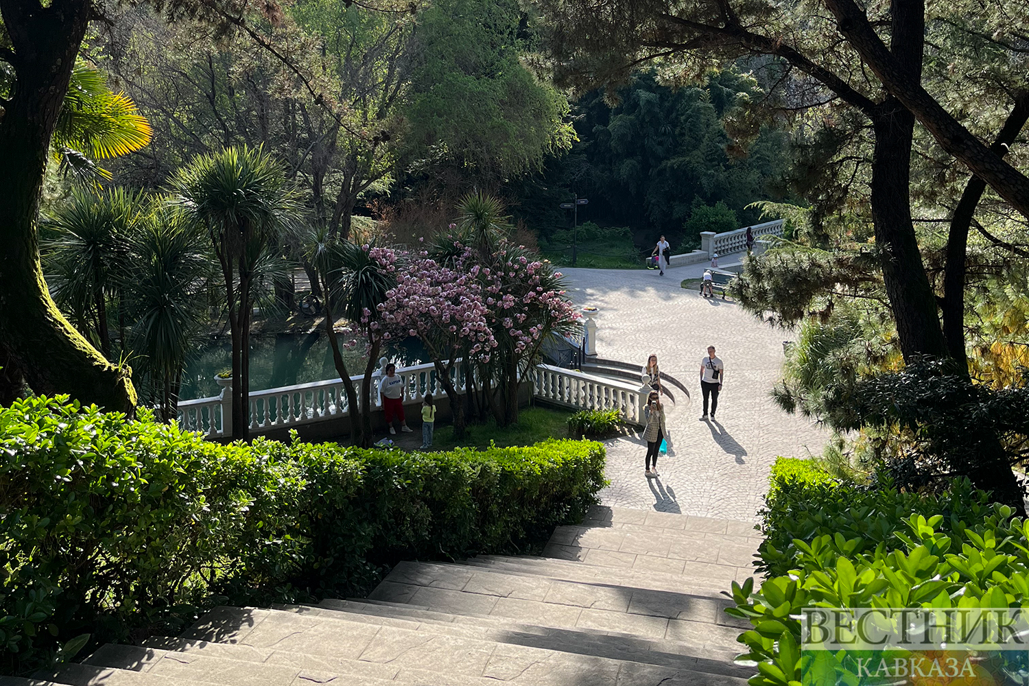 ����: vestikavkaza.ru