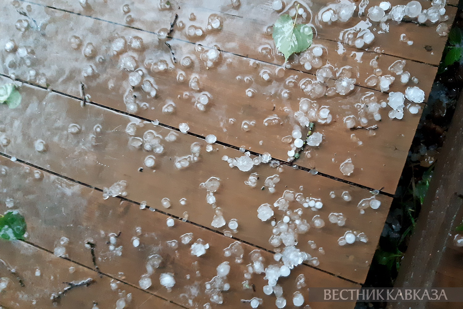 ����: vestikavkaza.ru