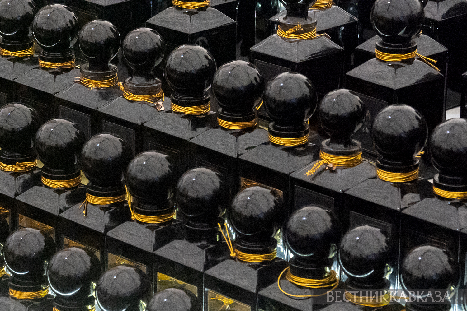 ����: vestikavkaza.ru