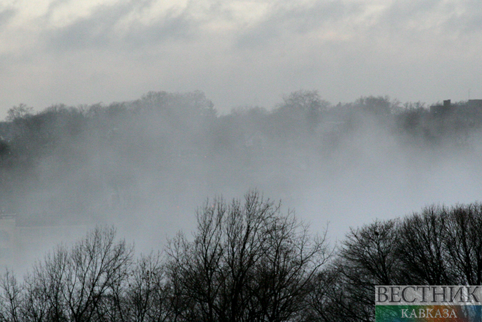 ����: vestikavkaza.ru