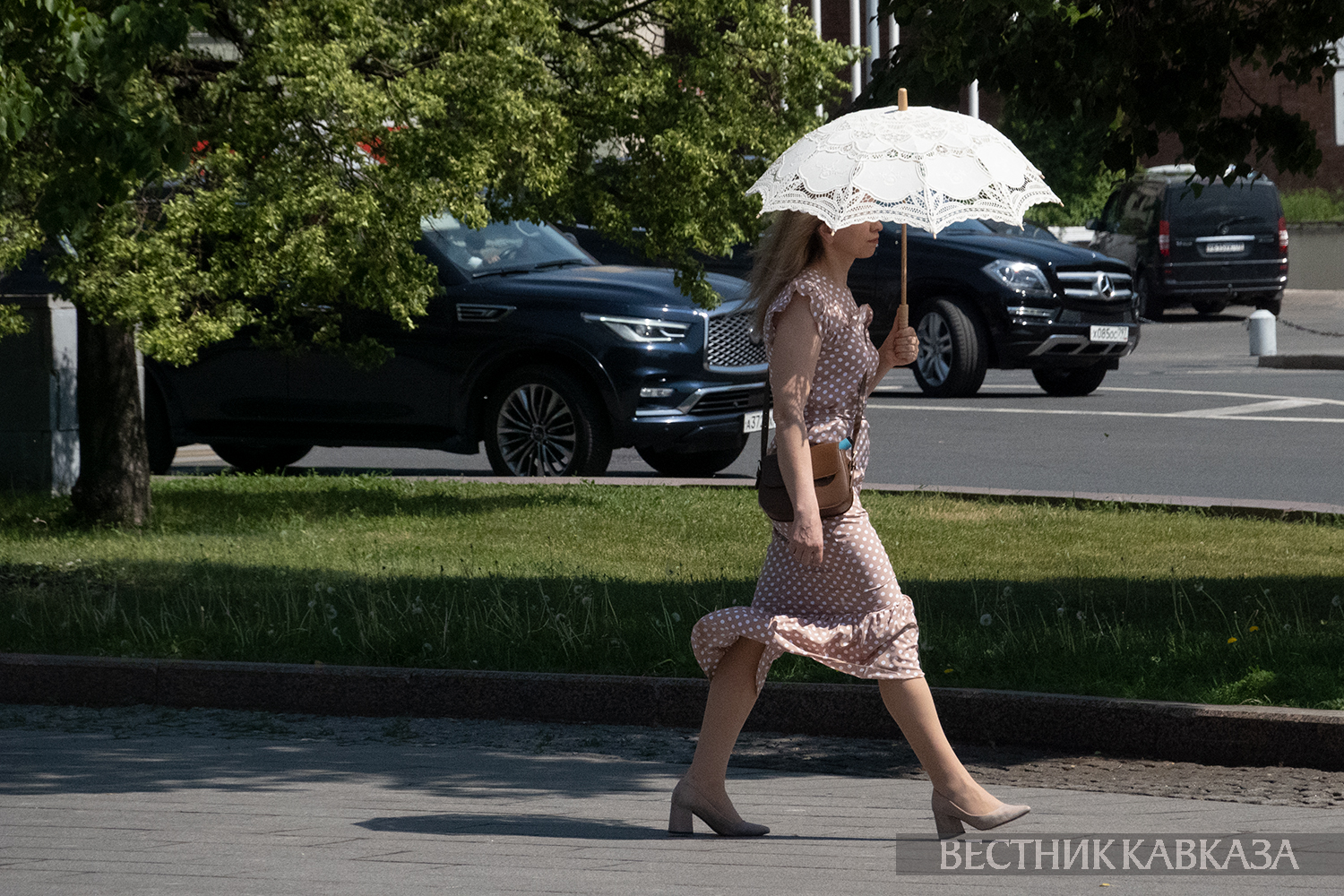 ����: vestikavkaza.ru