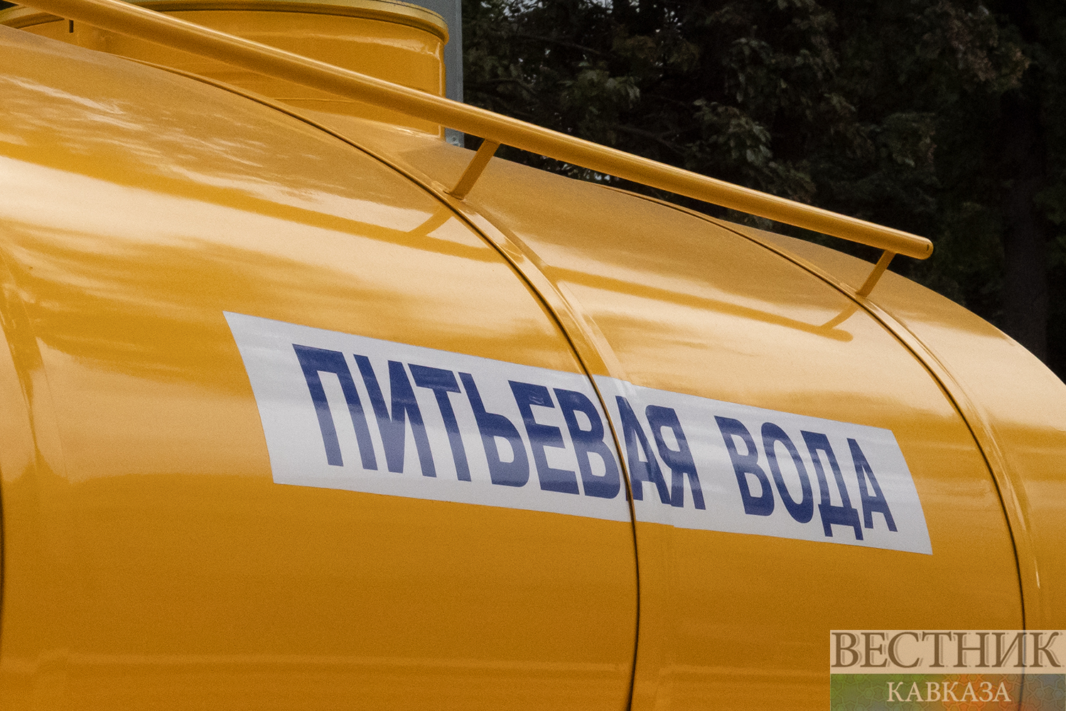 ����: vestikavkaza.ru