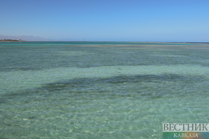  ����� ������ �������� 