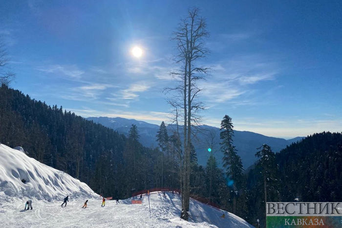 ����: vestikavkaza.ru